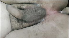 grelinho trans da maior bbw trans do rj mamifera rj