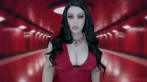 Red Obedience Pleasure HFO HD