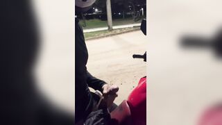 Pony trunk demonstrated in a public street on top of a motorbike.