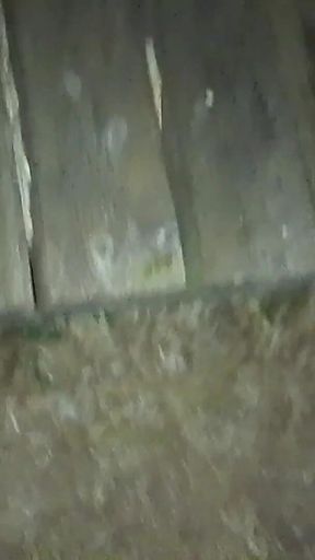 Street Sex with a Stranger