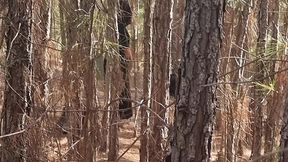 bruxa ordena que, turista perdido na floresta faca ela ter um orgasmo pra nao ser enfeiticado! halloween