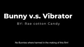 Bunny V.S. Vibrator