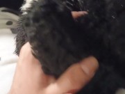 Border Collie Plushie Licks And Makes Onesie Pubby Cum!
