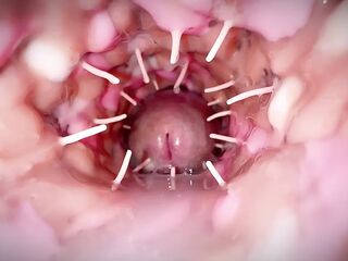 Her spiky pussy made my old schlong cum like a fire pantyhose