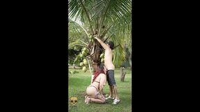 a small but delicious outdoor blowjob