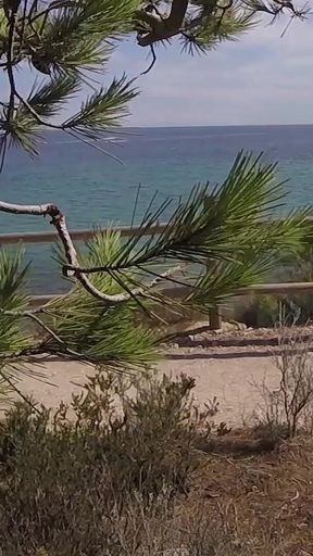 Dick Flash - I Pull Out My Cock in Front of a French Girl... Beach Path and She Helps Me Cum in Mounth Caught!!!