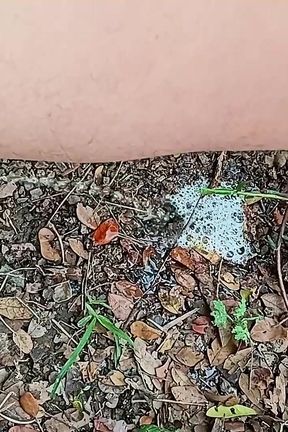 Compilation Pisses Urine by Master David