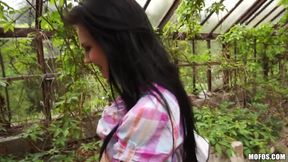 Public Pickups - Timea Bela May Be Shy but for a Couple Bucks Shes a Freak