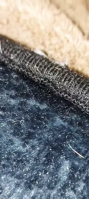 Teenie slut stretched by 5 monster dildos