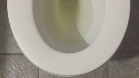 MY GOLDEN PEE IN TOILET