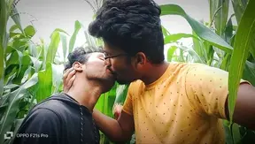 Intimate Cornfield Romance, A Hilarious Journey Of Two Men Exploring Desire And Laughter