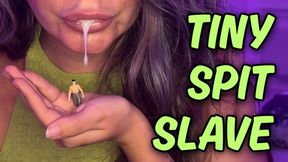 SPITTING ON THE TINY FREAK - Giantess Spit Humiliation & Sweaty Armpit Worship