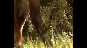 Slutty Peasant Women Get Fucked in the Countryside