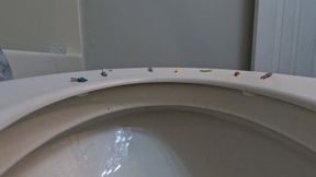 Tinies on Giantess Toilet 1080