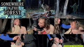 somewhere in the forest (Full HD MP4 )