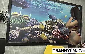 Big Tittied Trans Babe Stroking Her Nice Cock!