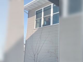 Public Masturbation: hot lascivious mother I'd like to fuck gets caught by neighbors masturbating in window with large sex-toy.