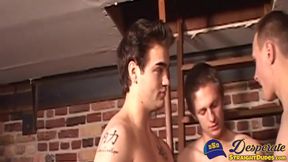 Nubile amateur Xavier Nice endures having his ass penetrated by Trey Richards and Ash