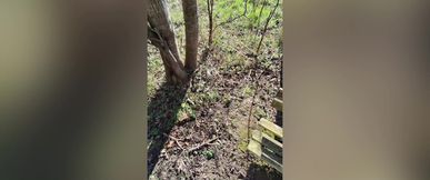 Straight married guy hungry for my dick in the cruise area.