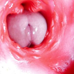 A big red cock inside a juicy hole can give sperm at any moment!