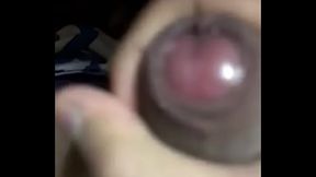 Chibolo pingon pajeandose