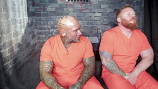 Orsi americani tatuati e eccitati fanno pompini bagnati e poi prendono un grosso cazzo senza sella