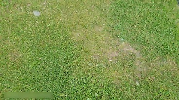 Man Flashes Cock in Public and cumshot near blonde girl