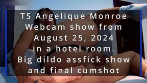 ts angelique monroe - webcam show from august 25, 2024