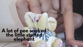 A lot of pee soaked the little stuffed elephant