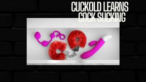 Hot Wife Cuckoldress Train You To Suck A Cock - Erotic Audio Mind Fuck