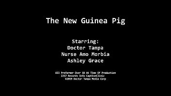 The New Guinea Pig - Alexis Grace