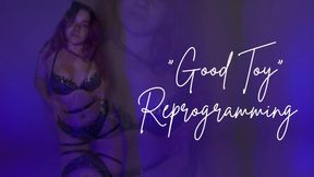 “Good Toy” Reprogramming
