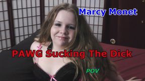 Marcy Monet Sucks the Dick POV SD