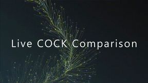 Live Cock Comparison *mp4