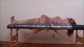 Heroine Carissa Montgomery The Spy Who Loved Bondage