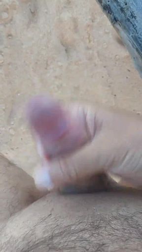 Ladysilva My Hot Dick on the Beach