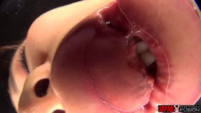 POV Drooling Tongue Kisses on Glass - Reia Hoshino Falls From Rich Girl Princess to Spit Feral, Still in Her College Uniform.