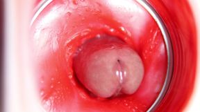 Very Close up Inside a Wet Beautiful Pussy! Super Quality 4K