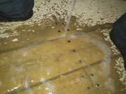 Je marque la cabine de baseball avec ma pisse