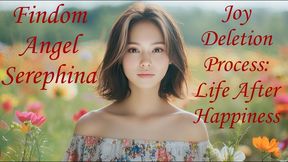 Joy Deletion Process Life After Happiness