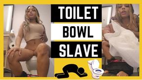 Toilet Bowl Slave
