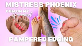 Mistress Phoenix's Pretty Feet JOI