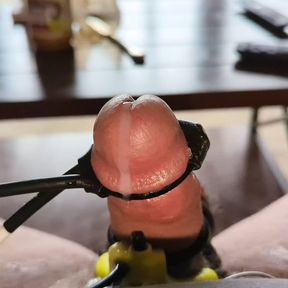 Growing cock cumshot - estim