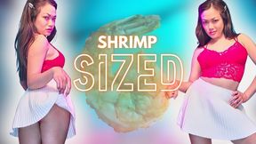 Shrimp Sized: ThePrincessLuxy takes one look at your pathetic little situation and tells you everything you already knew with SPH, cuckold POV