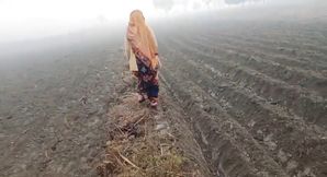 desi bhabhi fuck in sugarcane field