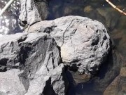 Quick piss before I launch my kayak
