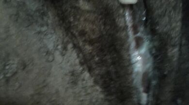 Naughty Phat Ass Ebony BBW Wet Hairy Pussy Sounds Eat Cream - Cami Creams