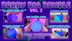 Berry Big Bundle Vol. 2
