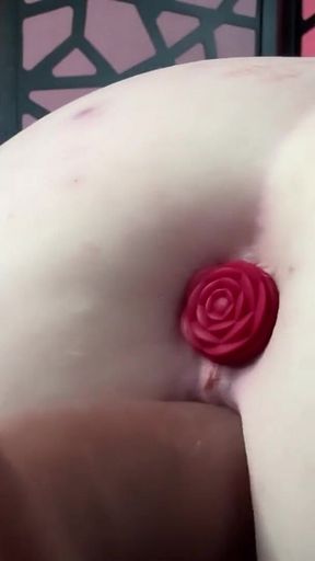 Chubby Princess Belle Machine Fucked
