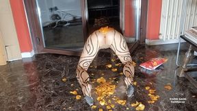 YOU ARE MY JUNK FOOD DUMPSTER - TOILET HUMILIATION, TOILET SLAVE, FARTS